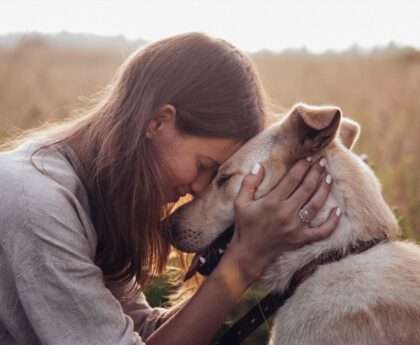 Pet Health and Wellness Trends