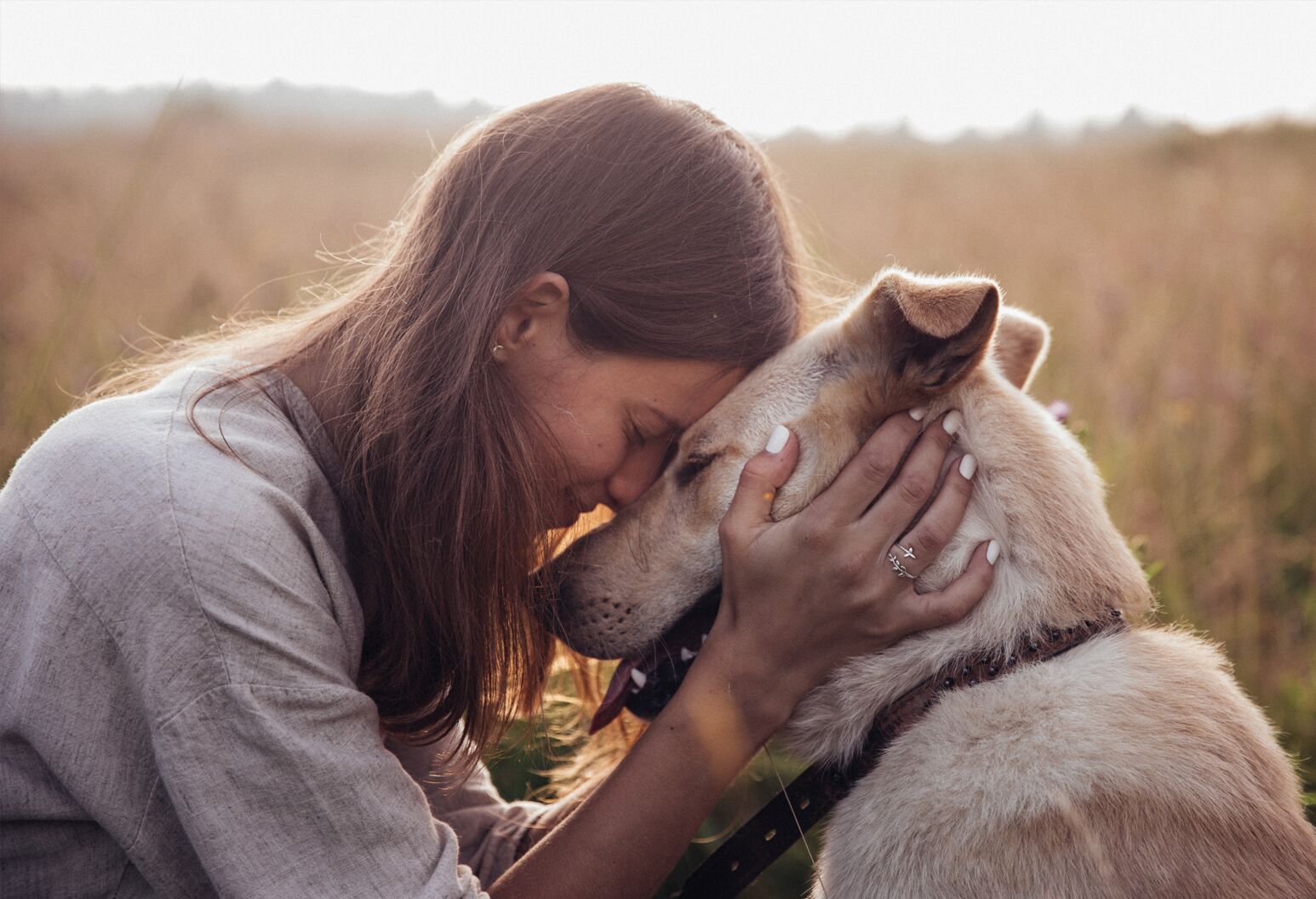 Pet Health and Wellness Trends