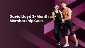 david lloyd three month membership