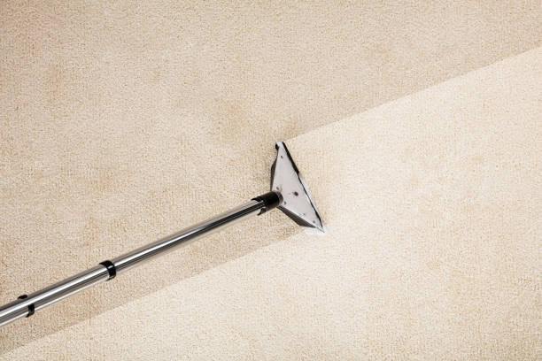 Carpet Cleaning Near Me