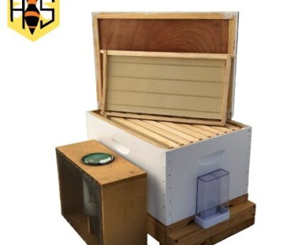 Bee Hive Starter Kit