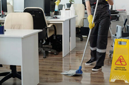 Regular Cleaning Services