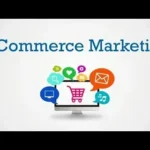 organic seo services