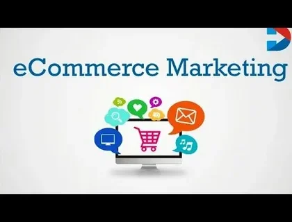 organic seo services