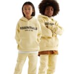Essential Hoodie Blend of Comfort Style and Fashion