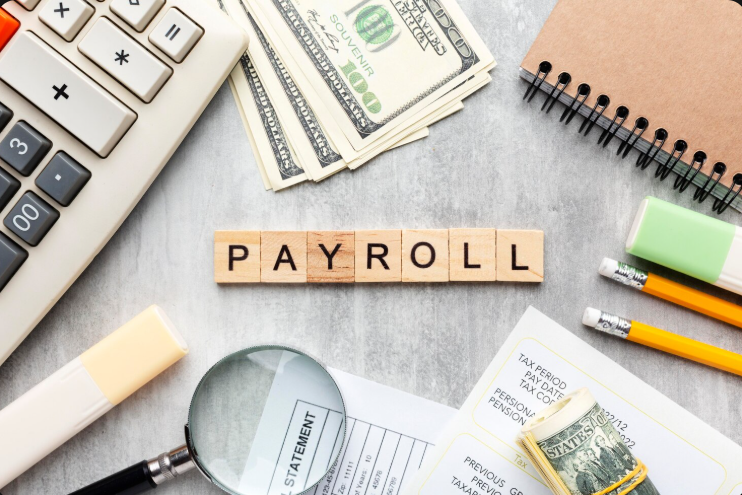 payroll software