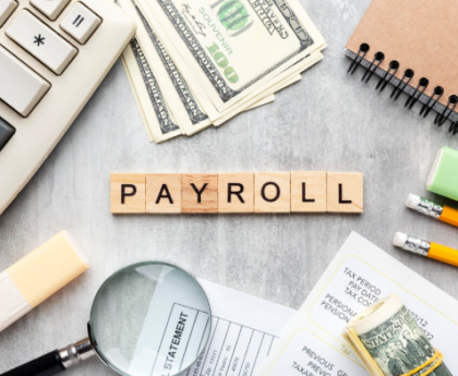 best payroll software lahore