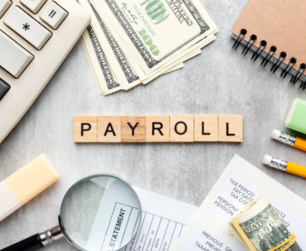 best payroll software lahore