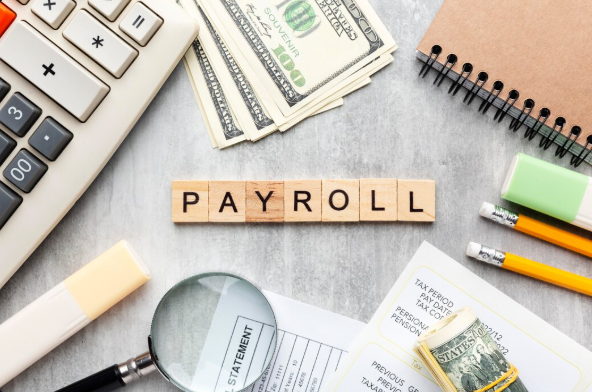 best payroll software lahore