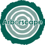 Tree surgeon Cumbria
