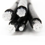 Duplex wire