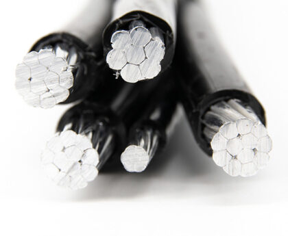 Duplex wire