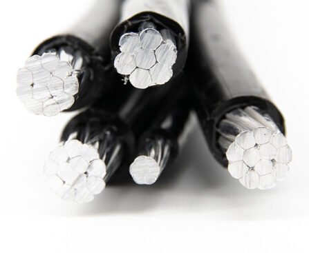 Duplex wire