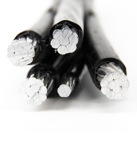 Duplex wire