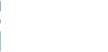 Remote CFO Services
