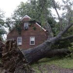 Professional Tree service in Atlanta GA for Homeowners and Property Care